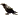 Misfortune