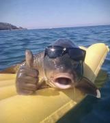 Personal picture